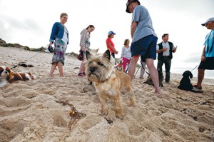dog walkers park times 03-12-2013 cmyk by yanni 01