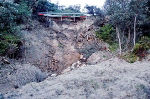 esplanade collapse
