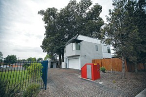 fig tree 138 crany rd frankston 07-11-2012 cmyk by yanni 02