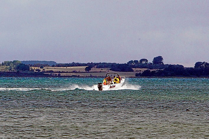 No Ferry