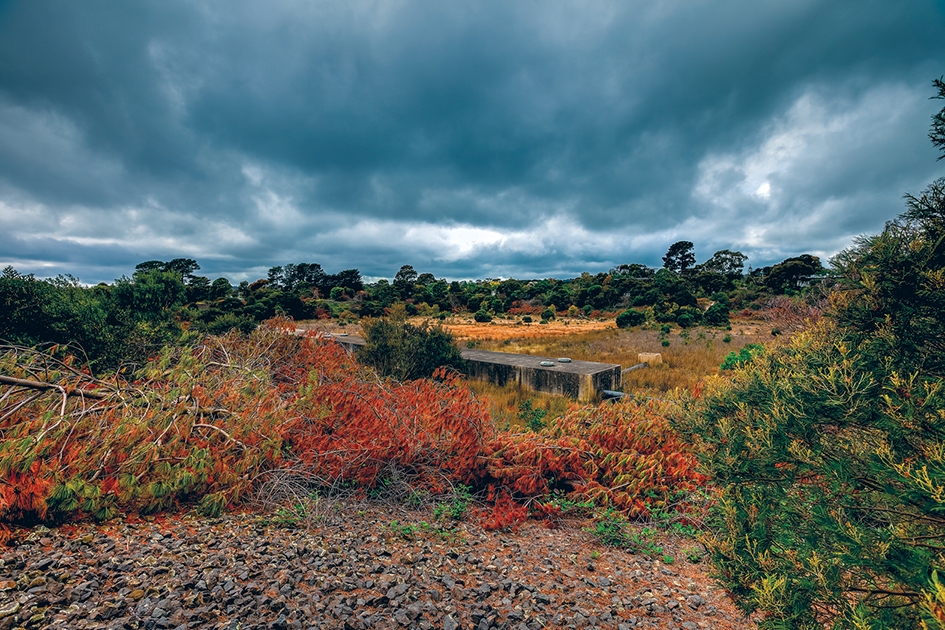 Decision time: South East Water’s decommissioned reservoir in Mt Eliza has become a haven for flora and fauna but a state planning panel is about to decide its fate. Picture: Yanni