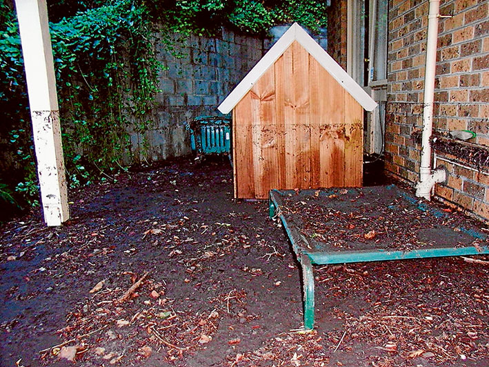 Damp dog day: Floodwater in 2010 filled this Mt Eliza backyard and rose halfway up the dog’s kennel in a matter of minutes.