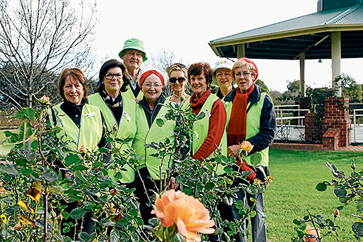Green thumbs: Volunteers at Mornington Botanical Rose Gardens’, from left, Bronwyn Evans, Pauline Eu, Graeme Dent, Frances Adam, Jill Warner, Ruth Henderson, Virginia Godfrey and Muriel Dent. Picture: Keith Platt