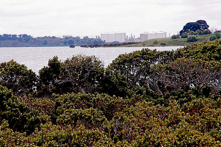 For and against: While Mornington Peninsula and Frankston councils are calling for the state government to develop the Port of Hastings, Bass Coast Shire says enough is enough, and warns a bigger port will be a loss for the environment and the economy.