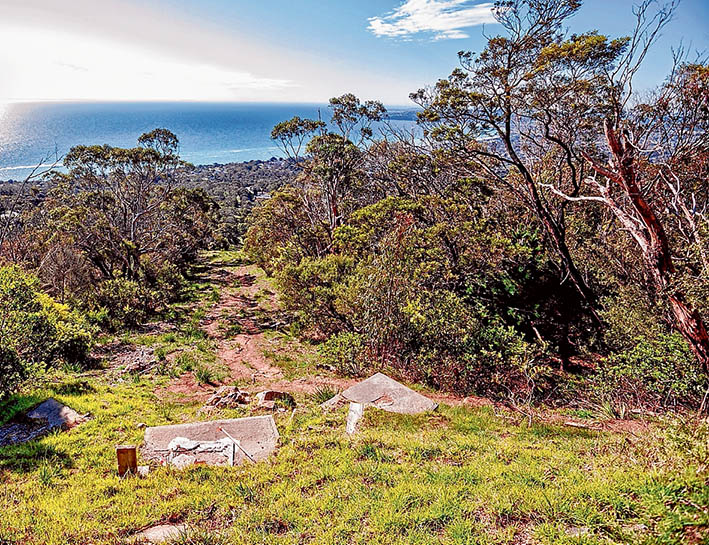 All downhill: The old chairlift corridor on the north face of Arthurs Seat, which will be substantially widened and cleared for the new gondola. Picture: Yanni