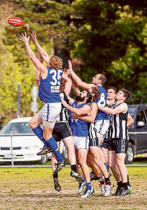 NFNL RND 15 Crib vs Hastings-1