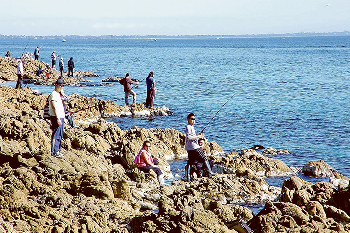 Fish assured: Fisheries Victoria says a drop in the number of snapper spawned in Port Phillip will not cause a loss in catch either in the bay or central and western Victorian waters. Picture: Keith Platt
