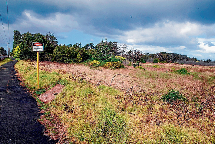 Fuelling expectations: Puma Energy’s purchase of land in Bayview Rd, Hastings, has heightened hopes of more port-related development even though the state government has dropped plans for a container port. Picture: Gary Sissons