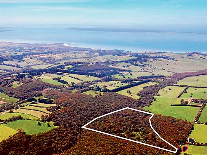 Swings and roundabouts: The property known as 2 Barkers Rd, Main Ridge, had no road access until shire councillors and Parks Victoria gave the owner permission to build a road through part of a conservation reserve. Now the owner has been charged with illegal clearing and faces court this month. Picture supplied