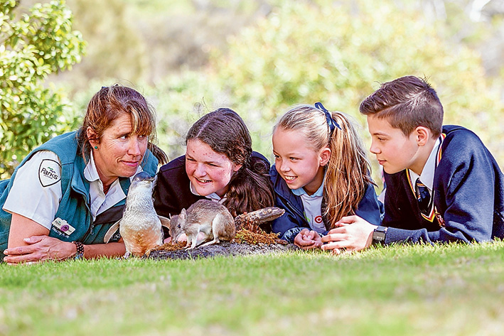 Feathers and fur: Tash Wicks from Parks Victoria, gives a natural history lessons to Siesiea, from Boneo Primary School, Mikaylay, Our Lady of Fatima Rosebud, and Oliver from Peninsula School. Picture: Yanni