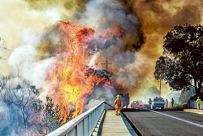 Dire warnings: A fire that started along the Mornington Peninsula Freeway at Dromana quickly spread into nearby Heronswood, destroying a thatched roof cafe. Although not officially listed as being deliberately lit, an arson expert says motorists reported seeing multiple along the freeway. Picture: Yanni