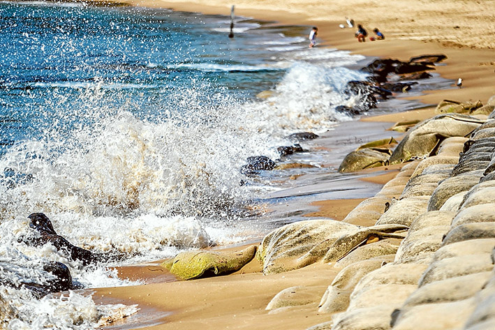 Pounded: The $3 million sandbag wall built to protect Portsea’s eroding front beach in 2010 continues to be damaged by waves that first appeared in 2009. The state government has a new report into the phenomenon and faces a number of expensive options. Picture: Yanni