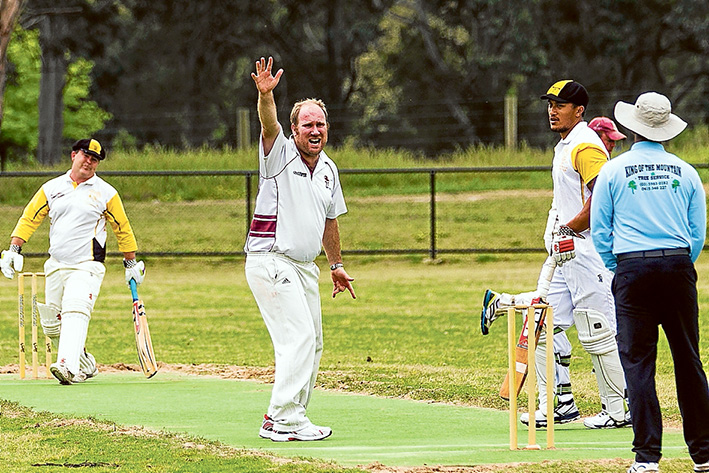 Wicket appeal: Frankston YCW fell short by just four runs against Skye. Picture: Andrew Hurst