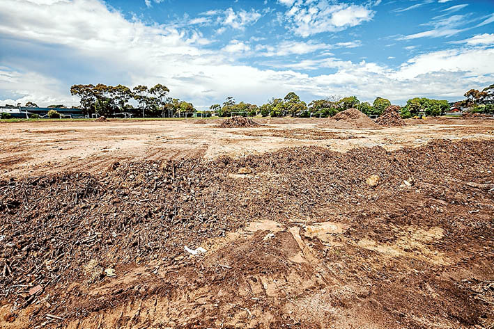 Balls not bush: Mt Eliza’s leading environment group has walked away from a committee formed to deal with native vegetation clearing at the town’s secondary college for soccer pitches. Picture: Yanni
