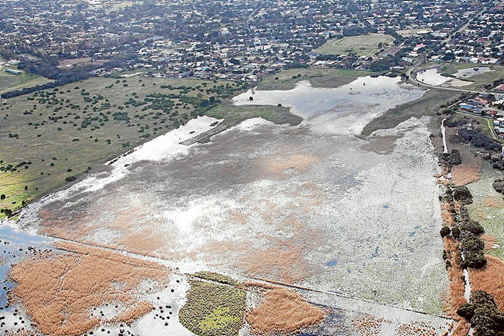 Wetland wonder: A section of Tootgarook Swamp and surrounds. Number 92 Elizabeth Ave is the flooded area near top right below the curving road, which is Elizabeth Ave. Picture supplied
