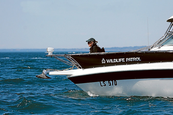 seal patrol
