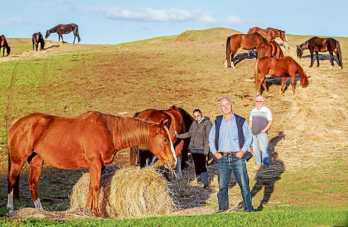 Ms Crosbie, left, and Ace-Hi owners Tony Marks, centre, and Ron Neary were happy to be photographed during the regular feeding time of their herd. Picture: Yanni