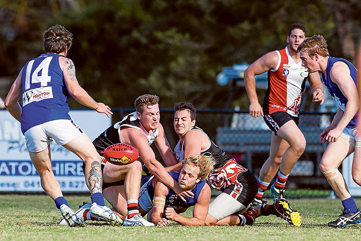 Blues clues: Top of the table Hastings held of a Devon Meadows revival to win by 19 points. Picture: Scott Memery