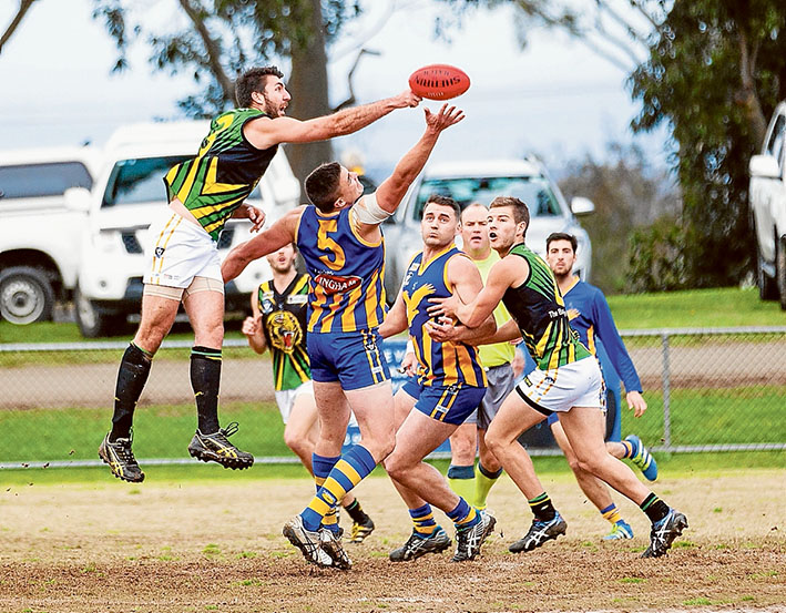 Tigers maul: Dromana accounted for Somerville by more than six goals. Picture: Andrew Hurst