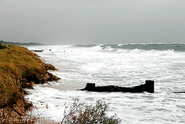 Losing battle: Environmentalists are calling for immediate action to save the Mornington Peninsula’s eroding beaches.