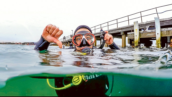 In the swim: Diver Anthony Morton takes the plunge to help relocate Blairgowrie marine life.