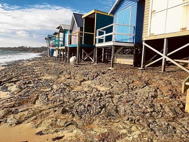 bathing boxes1