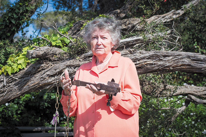 Deadly climb: This brushtail possum, below, tries to support itself with its right paw while the other is held fast in a steel-jawed trap set on a trellis of an unocuppied holiday house at Rye. No one knows how long the possum was in agony before being freed by wildlife carer Brenda Marmion, above. The possum was unable to be saved and was put down by a vet. The RSPCA is investigating the illegal trapping of the possum. Main picture: Jarryd Bravo