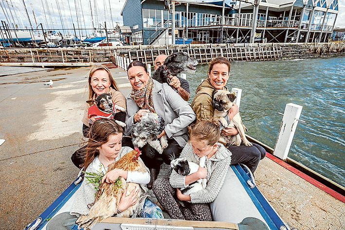 Woof, woof: Michelle Levenspiel with Bowser, Jo Brady with Ernie, Whittney Stone with Olive, (rear) Kevin Wilcox with Brogan, (front) Gracie Lynch with Snowy the chicken and Cecillia Lynch with Dot the cat. Picture: Yanni