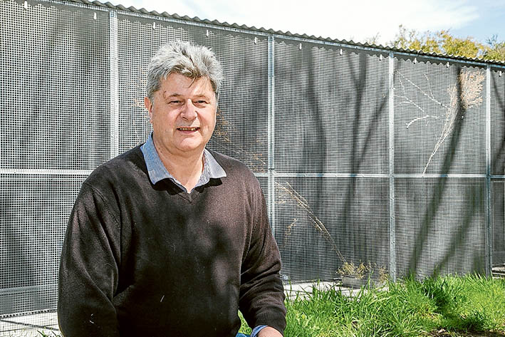 Home away from home: Moonlit Sanctuary owner Michael Johnson has built a new aviary for orange-bellied parrots after three years successfuly breeding the critically endangered species. Pictures: Gary Sissons