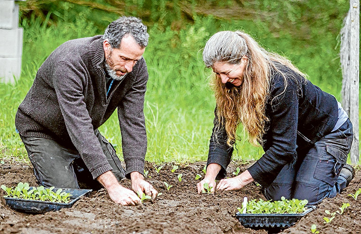 Healthy pickings: Robin and Peter Carlyon put a lot of love into their work on the land. Picture: Yanni