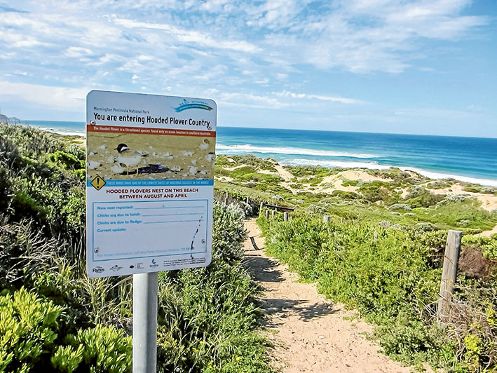 Lethal area: Parks Victoria is about to start a poisoning campaign to rid Mornington Peninsula National Park of foxes and feral cats. Picture: Keith Platt