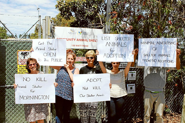 Signed up: Protesters want to lessen the number of cats being killed after being kept at Mornington Peninsula Shire’s animal pound in Watt Rd, Mornington.